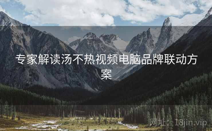 专家解读汤不热视频电脑品牌联动方案
