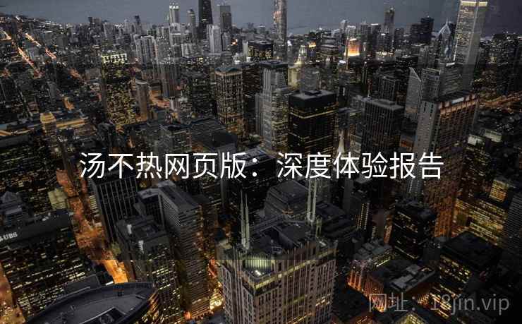 汤不热网页版：深度体验报告