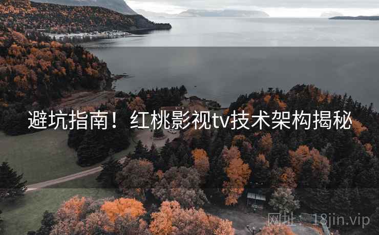 避坑指南！红桃影视tv技术架构揭秘