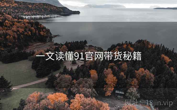 一文读懂91官网带货秘籍