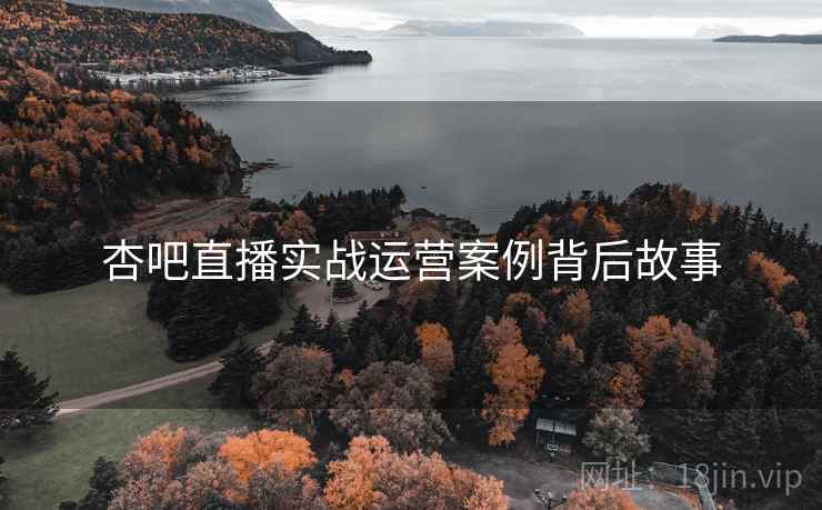 杏吧直播实战运营案例背后故事