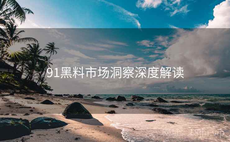 91黑料市场洞察深度解读
