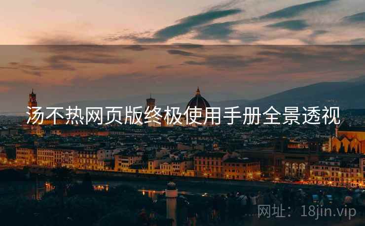 汤不热网页版终极使用手册全景透视