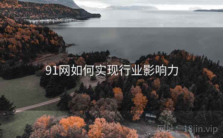 91网如何实现行业影响力