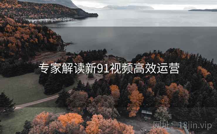 专家解读新91视频高效运营
