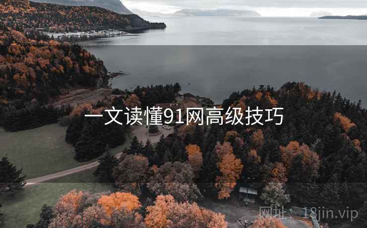 一文读懂91网高级技巧